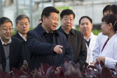 光华社：习近平总书记发出＂上网令＂